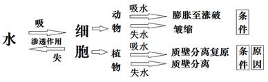 学科网(www.zxxk.com)--教育资源门户，提供试卷、教案、课件、论文、素材及各类教学资源下载，还有大量而丰富的教学相关资讯！