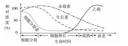 学科网(www.zxxk.com)--教育资源门户，提供试卷、教案、课件、论文、素材及各类教学资源下载，还有大量而丰富的教学相关资讯！