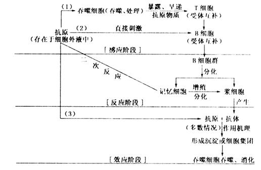 学科网(www.zxxk.com)--教育资源门户，提供试卷、教案、课件、论文、素材及各类教学资源下载，还有大量而丰富的教学相关资讯！