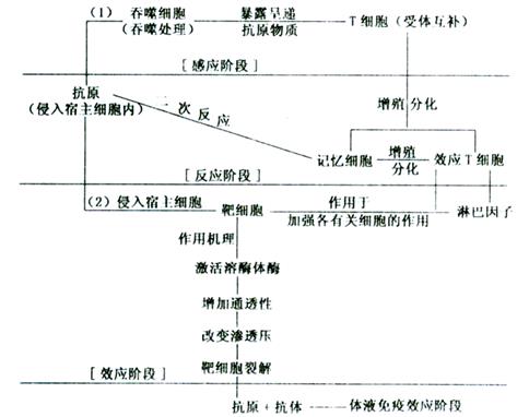 学科网(www.zxxk.com)--教育资源门户，提供试卷、教案、课件、论文、素材及各类教学资源下载，还有大量而丰富的教学相关资讯！