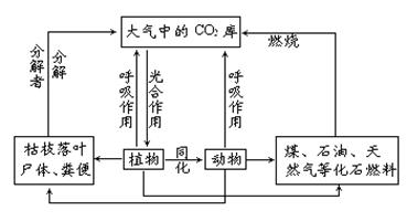 学科网(www.zxxk.com)--教育资源门户，提供试卷、教案、课件、论文、素材及各类教学资源下载，还有大量而丰富的教学相关资讯！