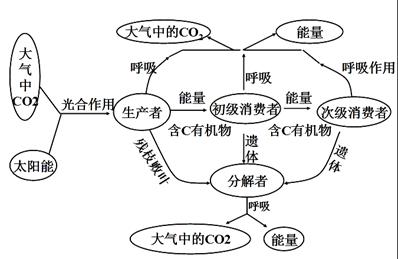 学科网(www.zxxk.com)--教育资源门户，提供试卷、教案、课件、论文、素材及各类教学资源下载，还有大量而丰富的教学相关资讯！