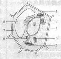 学科网(www.zxxk.com)--教育资源门户，提供试卷、教案、课件、论文、素材及各类教学资源下载，还有大量而丰富的教学相关资讯！