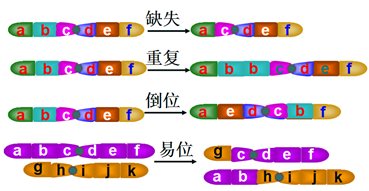 学科网(www.zxxk.com)--教育资源门户，提供试卷、教案、课件、论文、素材及各类教学资源下载，还有大量而丰富的教学相关资讯！