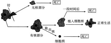 未标题-1